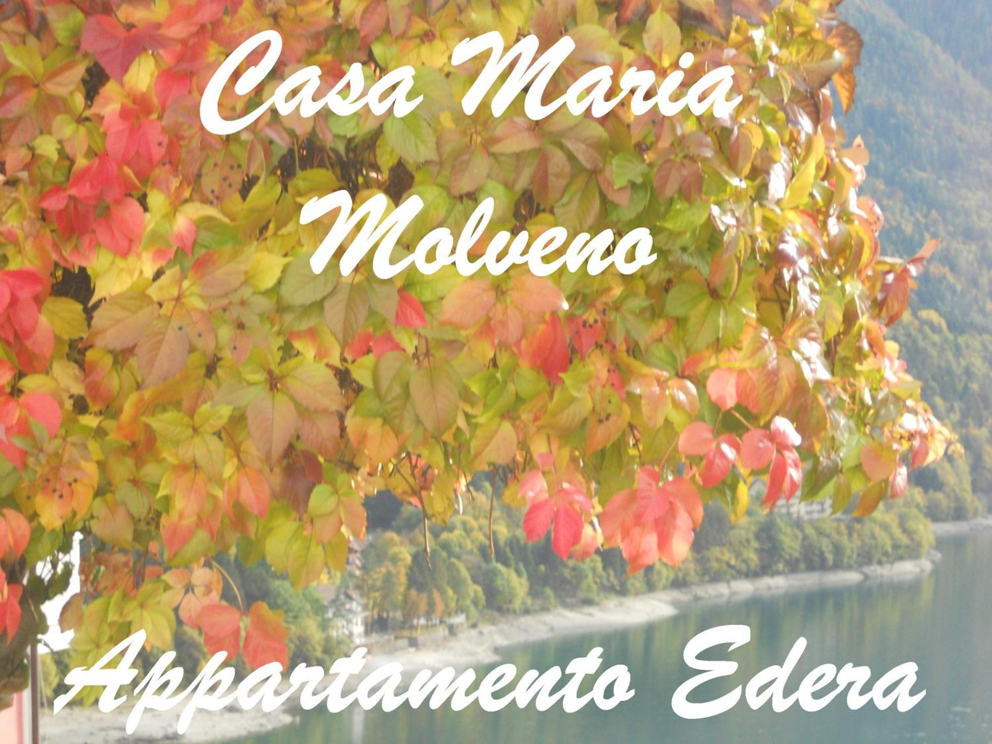 Casa Maria Διαμέρισμα Molveno Δωμάτιο φωτογραφία