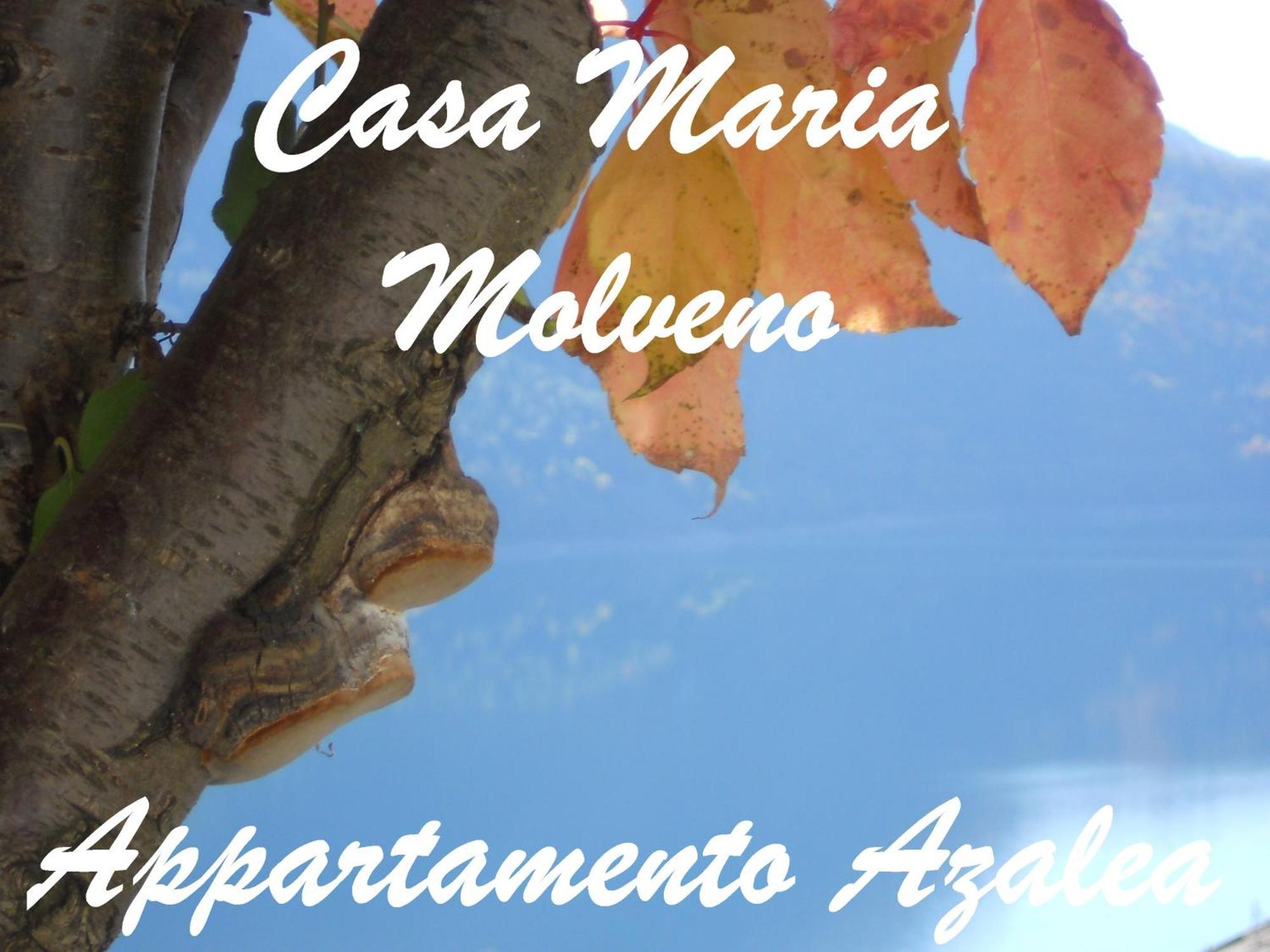 Casa Maria Διαμέρισμα Molveno Δωμάτιο φωτογραφία